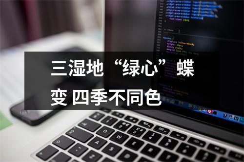 三湿地“绿心”蝶变 四季不同色