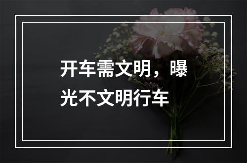 开车需文明，曝光不文明行车