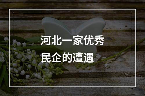 河北一家优秀民企的遭遇