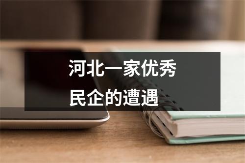河北一家优秀民企的遭遇