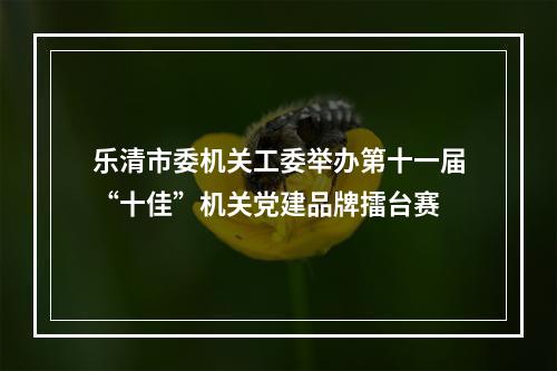 乐清市委机关工委举办第十一届“十佳”机关党建品牌擂台赛