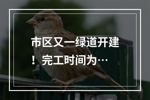 市区又一绿道开建！完工时间为…