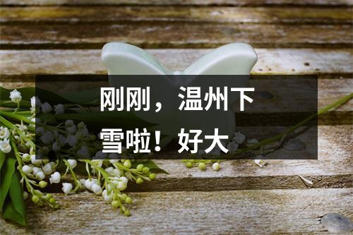 刚刚，温州下雪啦！好大