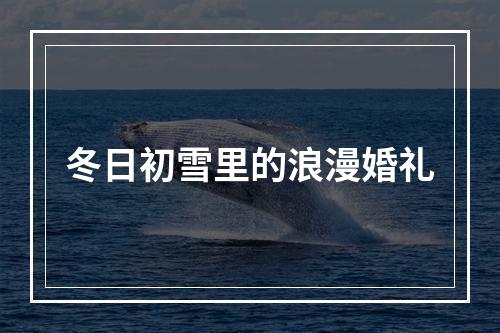 冬日初雪里的浪漫婚礼