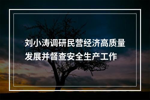 刘小涛调研民营经济高质量发展并督查安全生产工作