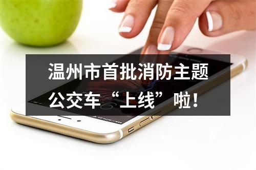 温州市首批消防主题公交车“上线”啦！
