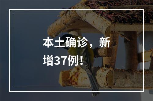 本土确诊，新增37例！