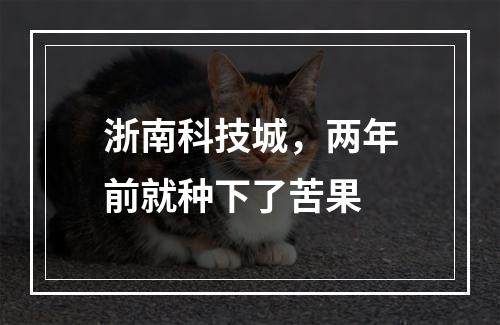 浙南科技城，两年前就种下了苦果