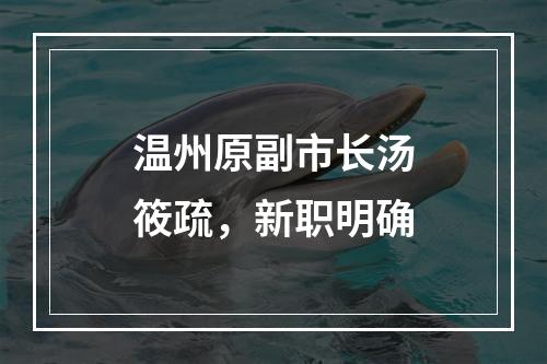 温州原副市长汤筱疏，新职明确