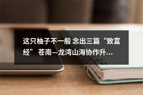 这只柚子不一般 念出三篇“致富经” 苍南—龙湾山海协作升级