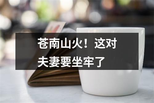 苍南山火！这对夫妻要坐牢了