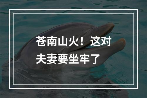 苍南山火！这对夫妻要坐牢了