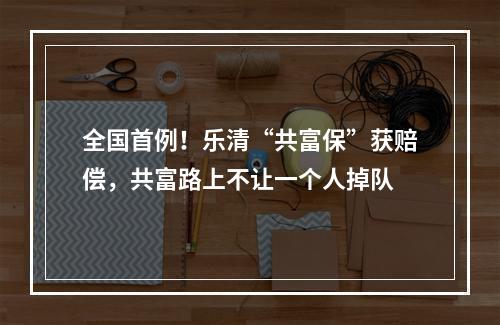 全国首例！乐清“共富保”获赔偿，共富路上不让一个人掉队