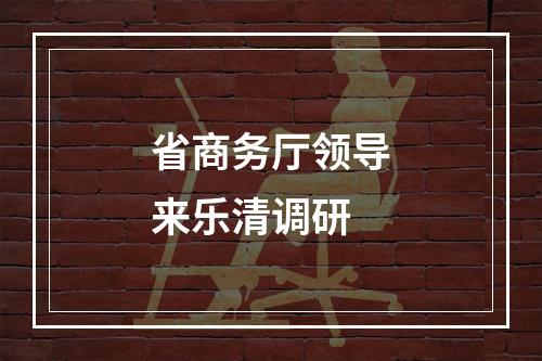 省商务厅领导来乐清调研