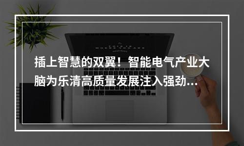 插上智慧的双翼！智能电气产业大脑为乐清高质量发展注入强劲动能