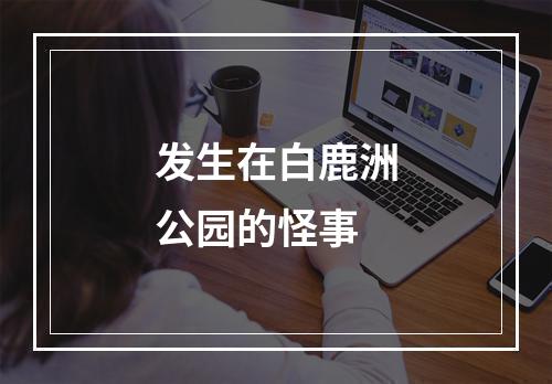 发生在白鹿洲公园的怪事