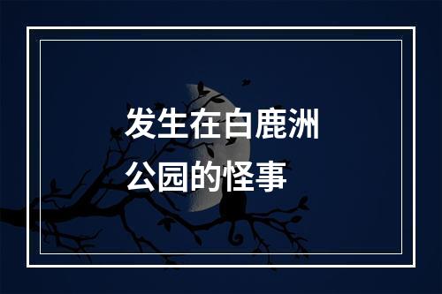发生在白鹿洲公园的怪事