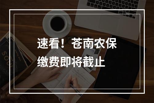 速看！苍南农保缴费即将截止