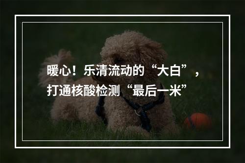 暖心！乐清流动的“大白”，打通核酸检测“最后一米”
