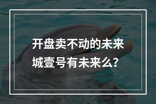 开盘卖不动的未来城壹号有未来么？