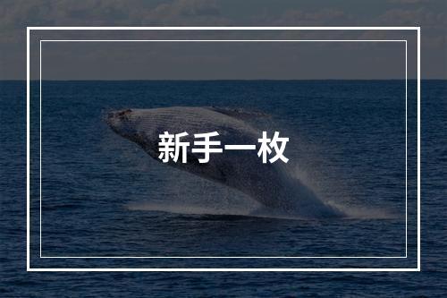 新手一枚