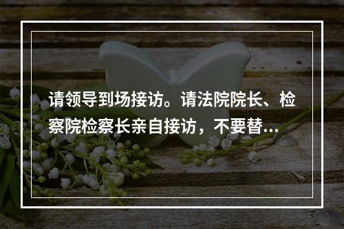 请领导到场接访。请法院院长、检察院检察长亲自接访，不要替代。