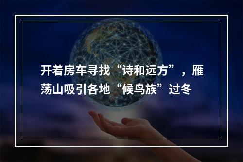 开着房车寻找“诗和远方”，雁荡山吸引各地“候鸟族”过冬