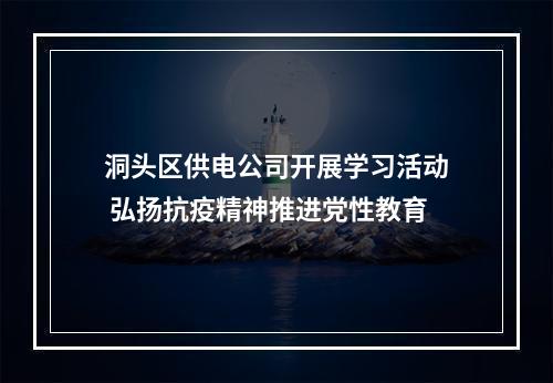 洞头区供电公司开展学习活动 弘扬抗疫精神推进党性教育