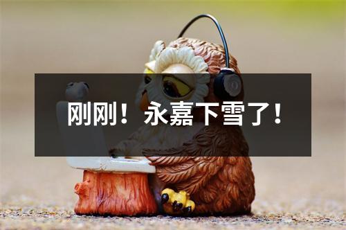 刚刚！永嘉下雪了！