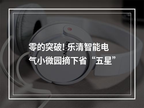 零的突破! 乐清智能电气小微园摘下省“五星”