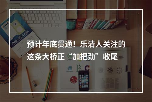预计年底贯通！乐清人关注的这条大桥正“加把劲”收尾
