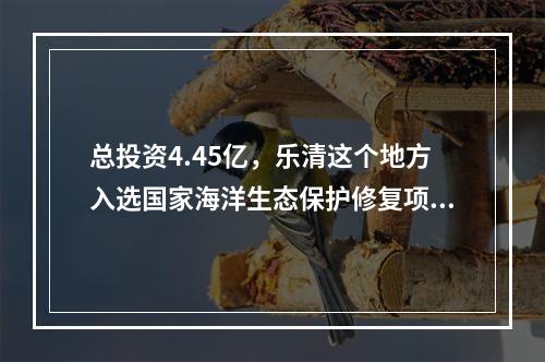 总投资4.45亿，乐清这个地方入选国家海洋生态保护修复项目