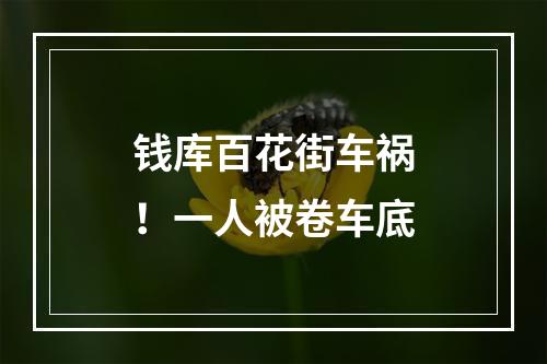 钱库百花街车祸！一人被卷车底