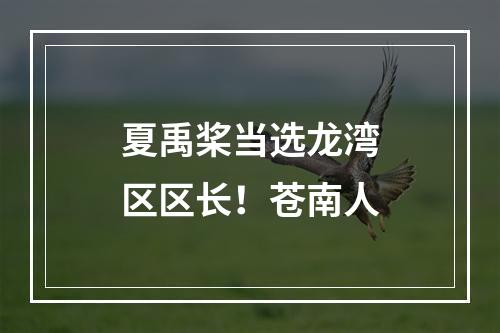 夏禹桨当选龙湾区区长！苍南人