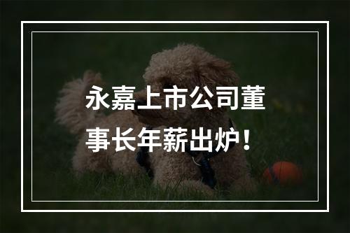 永嘉上市公司董事长年薪出炉！