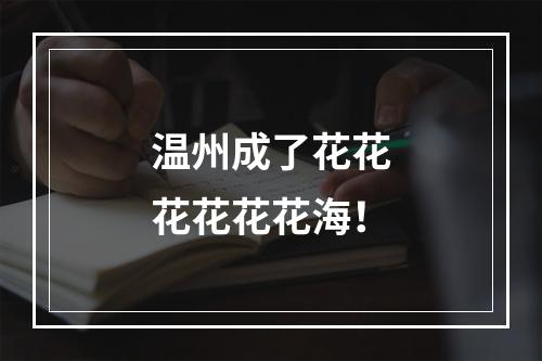 温州成了花花花花花花海！