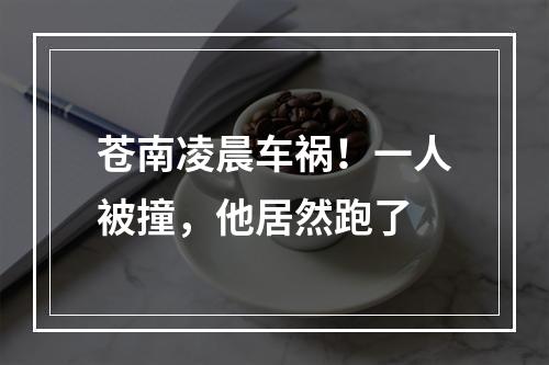 苍南凌晨车祸！一人被撞，他居然跑了