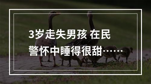 3岁走失男孩 在民警怀中睡得很甜……