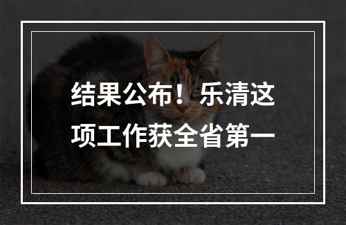 结果公布！乐清这项工作获全省第一