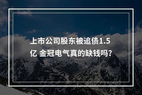上市公司股东被追债1.5亿 金冠电气真的缺钱吗？