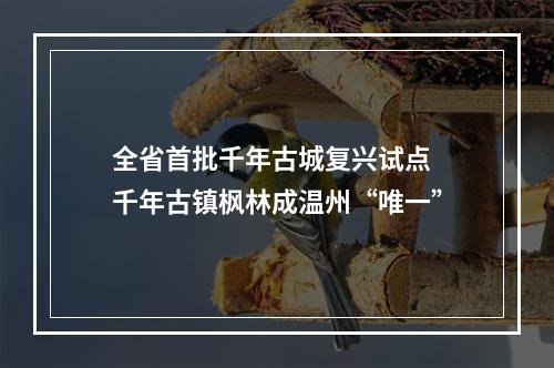 全省首批千年古城复兴试点 千年古镇枫林成温州“唯一”