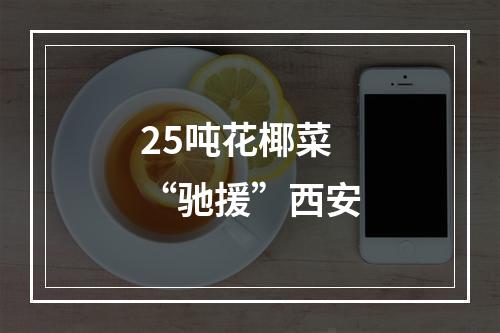 25吨花椰菜 “驰援”西安