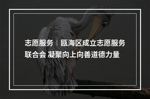 志愿服务︱瓯海区成立志愿服务联合会 凝聚向上向善道德力量