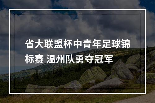 省大联盟杯中青年足球锦标赛 温州队勇夺冠军