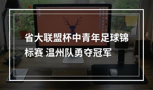 省大联盟杯中青年足球锦标赛 温州队勇夺冠军