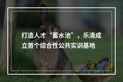 打造人才“蓄水池”，乐清成立首个综合性公共实训基地