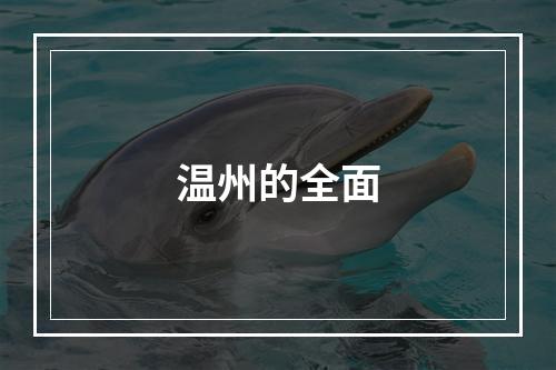 温州的全面