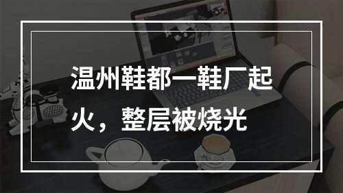 温州鞋都一鞋厂起火，整层被烧光