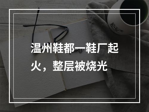 温州鞋都一鞋厂起火，整层被烧光