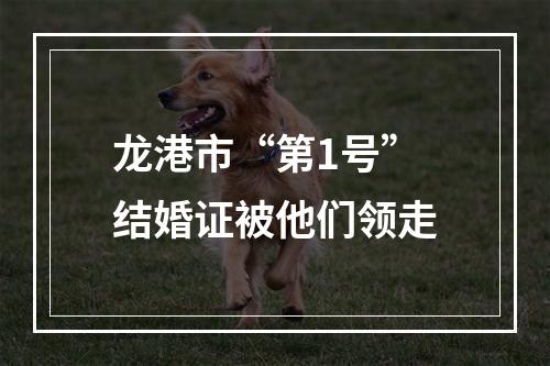 龙港市“第1号”结婚证被他们领走